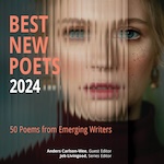 Best New Poets 2024