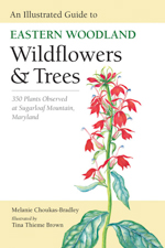 An Illustrated Guide to Eastern Woodland Wildflowers and Trees