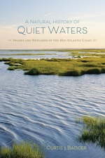 A Natural History of Quiet Waters